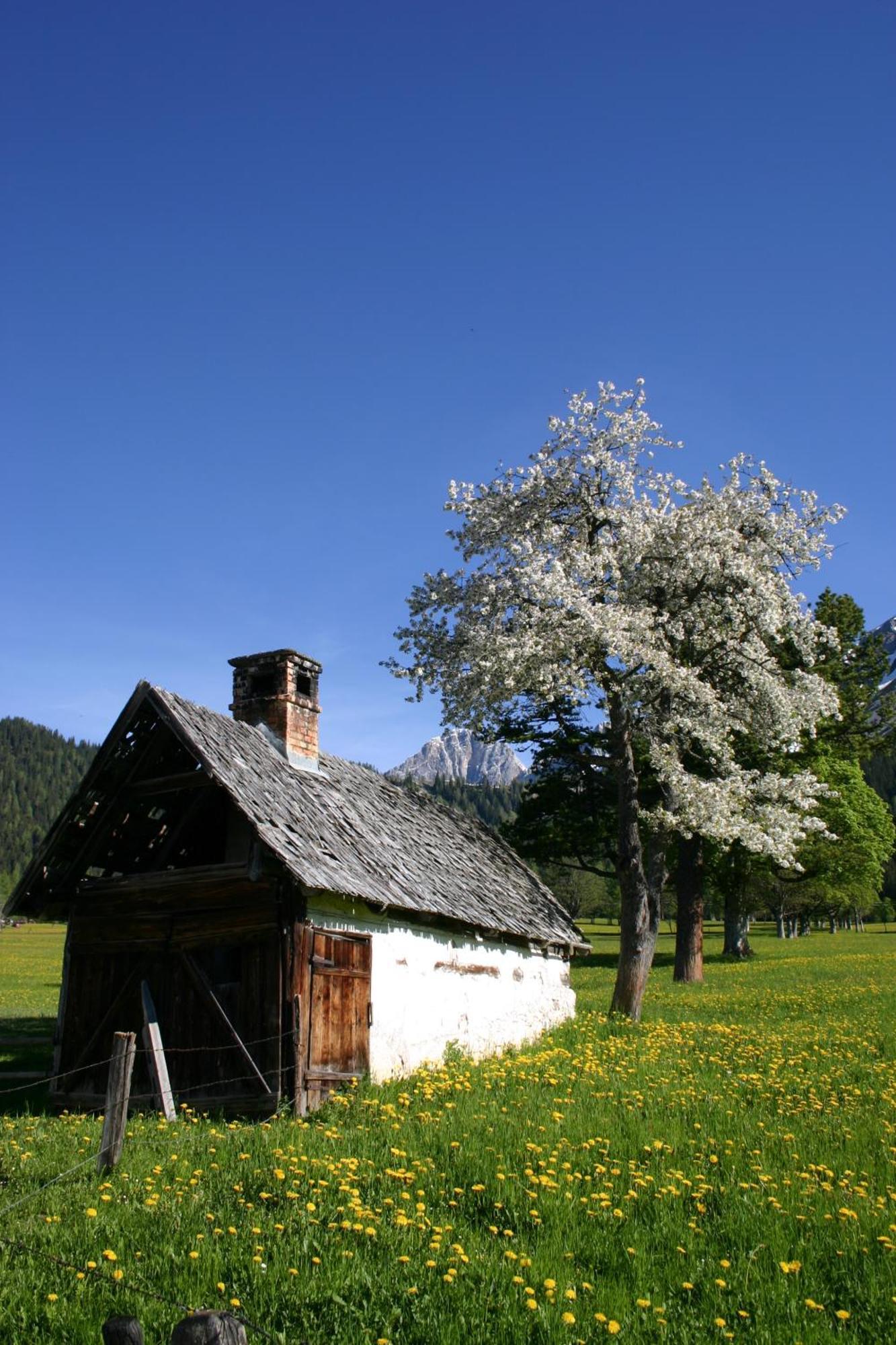 Sonnhof Hotel Ramsau am Dachstein Exterior photo